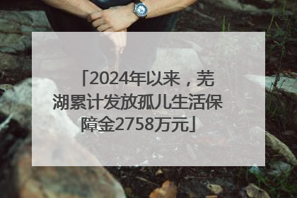 2024年以来，芜湖累计发放孤儿生活保障金2758万元
