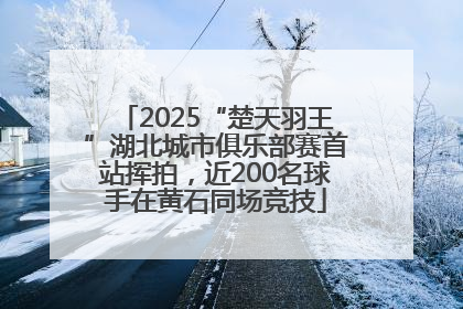 2025“楚天羽王”湖北城市俱乐部赛首站挥拍，近200名球手在黄石同场竞技