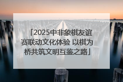 2025中非象棋友谊赛联动文化体验 以棋为桥共筑文明互鉴之路