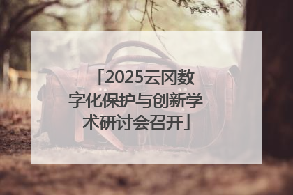 2025云冈数字化保护与创新学术研讨会召开