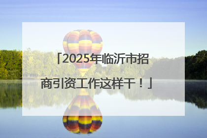 2025年临沂市招商引资工作这样干！