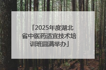 2025年度湖北省中医药适宜技术培训班圆满举办