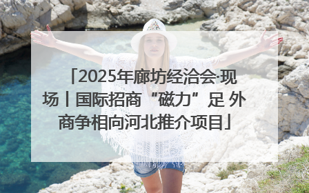 2025年廊坊经洽会·现场丨国际招商“磁力”足 外商争相向河北推介项目