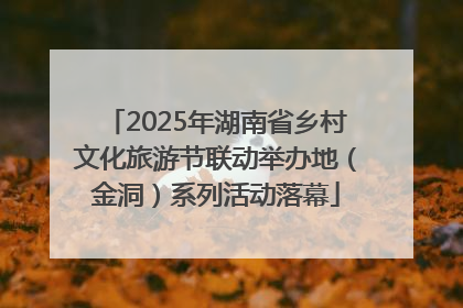 2025年湖南省乡村文化旅游节联动举办地（金洞）系列活动落幕