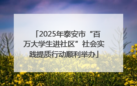 2025年泰安市“百万大学生进社区”社会实践提质行动顺利举办