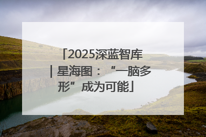 2025深蓝智库｜星海图：“一脑多形”成为可能