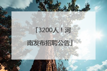 3200人！河南发布招聘公告