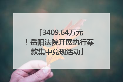 3409.64万元！岳阳法院开展执行案款集中兑现活动