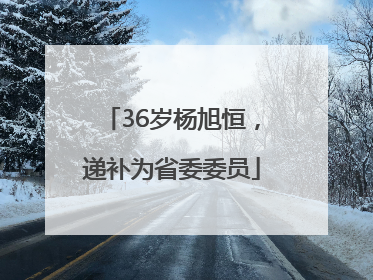 36岁杨旭恒，递补为省委委员