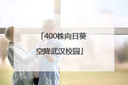 400株向日葵空降武汉校园