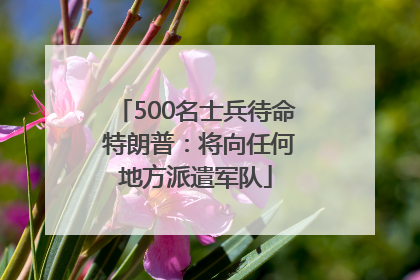 500名士兵待命 特朗普：将向任何地方派遣军队