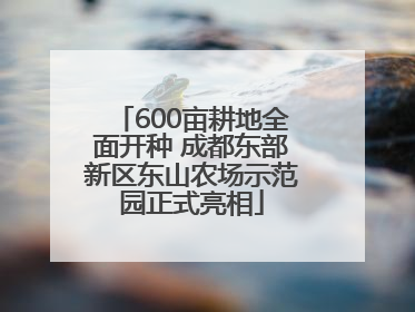 600亩耕地全面开种 成都东部新区东山农场示范园正式亮相