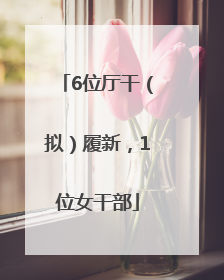 6位厅干（拟）履新，1位女干部