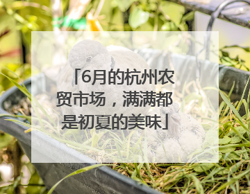 6月的杭州农贸市场，满满都是初夏的美味