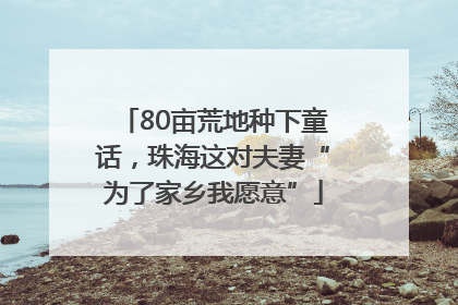 80亩荒地种下童话，珠海这对夫妻“为了家乡我愿意”
