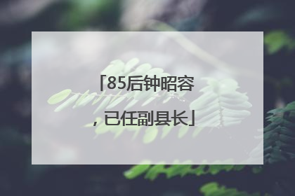 85后钟昭容，已任副县长