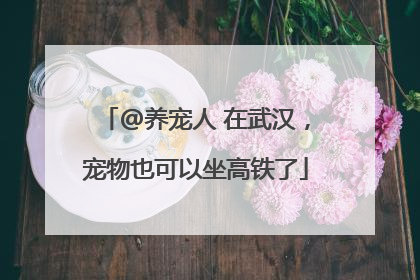 @养宠人 在武汉，宠物也可以坐高铁了