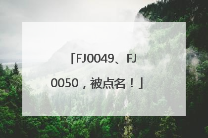 FJ0049、FJ0050，被点名！