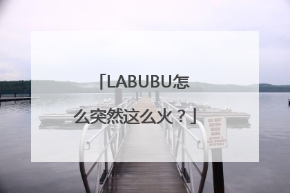 LABUBU怎么突然这么火？