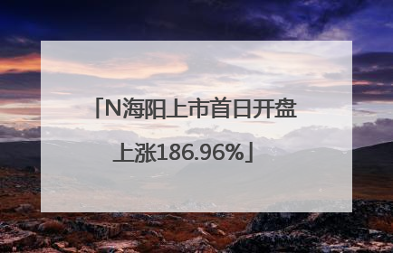 N海阳上市首日开盘上涨186.96%